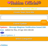 Website CSS Code Like Rubina Official
