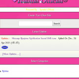 Website Best Pink CSS Code For Wapkiz And VmWap Site