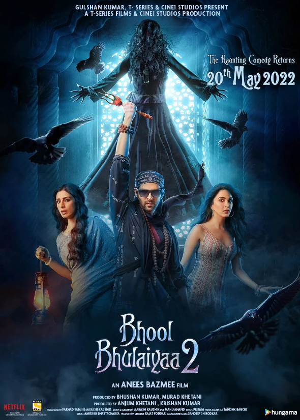 Bhool Bhulaiyaa 2 (2022) Hindi Pre-DVDRip x264 AAC 1080p | 720p | 480p ESub