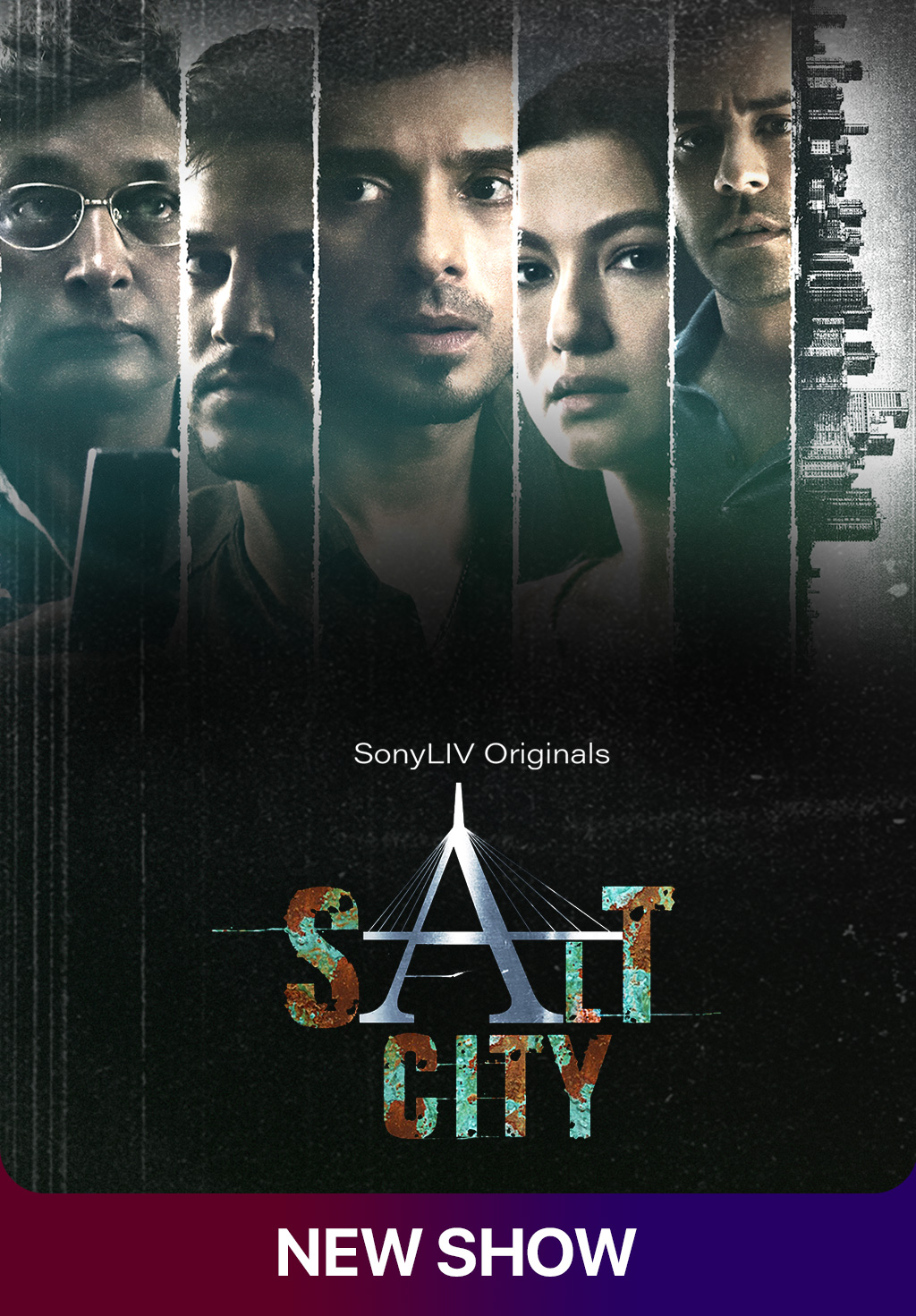 Salt City 2022 S01 Hindi SonyLiv Web Series WEB-DL H264 AAC 720p 480p ESub