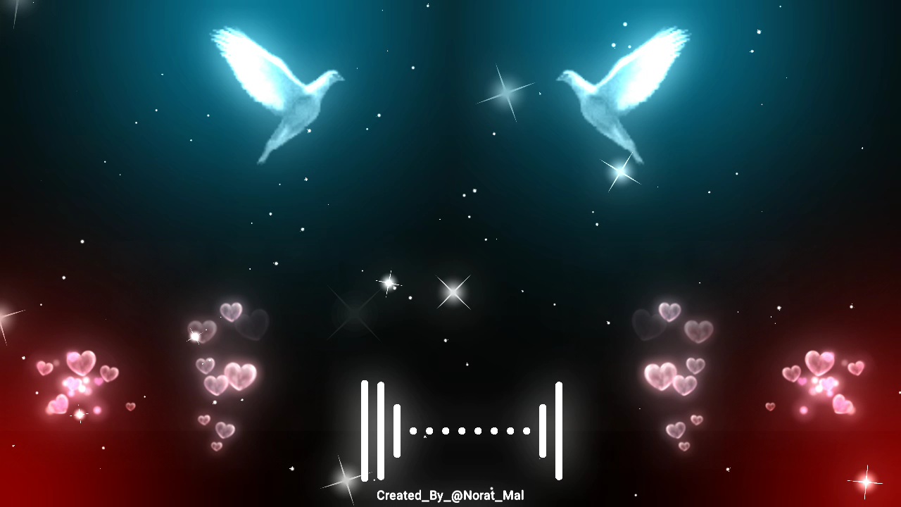 Pigeon Flying Black Screen Visualizer Download for Avee Player