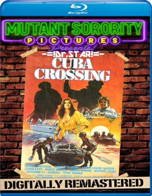 Cuba Crossing (1980) Dual Audio Hindi ORG BluRay x264 AAC 720p 480p ESub