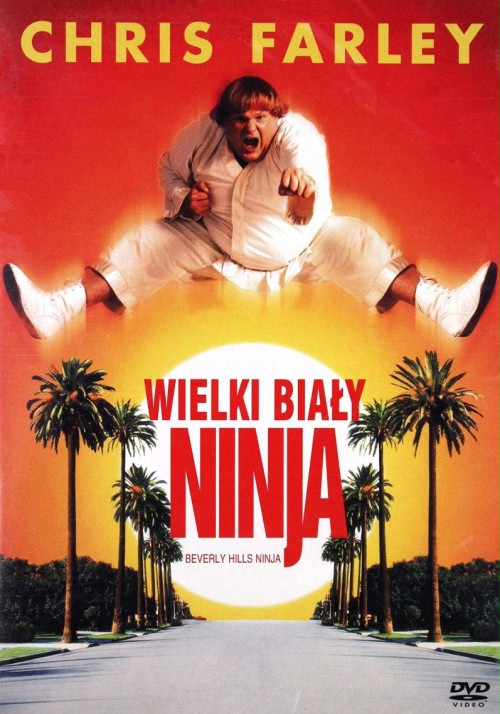 Beverly Hills Ninja (1997) Dual Audio Hindi ORG WEB-DL H264 AAC 720p 480p ESub