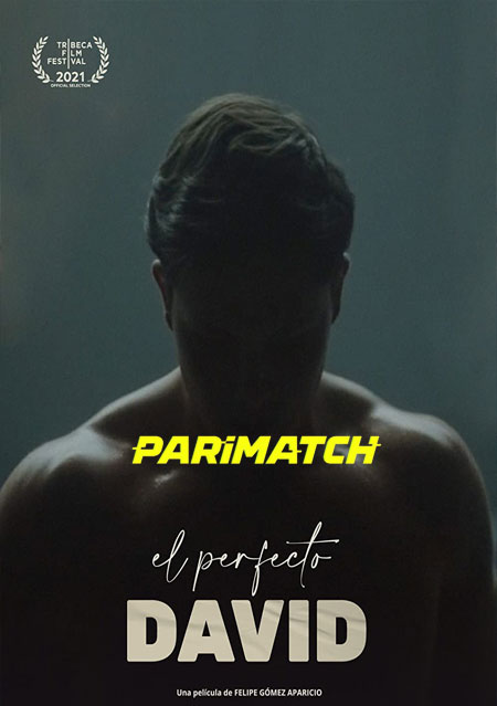 El perfecto David (2021) Hindi (Voice Over)-English Web-HD x264 720p