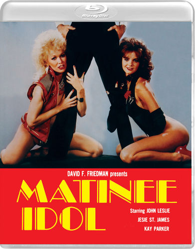 18+ Matinee Idol 1984 Full Hot Movie 720p HDRip x264 700MB Download